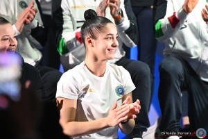 fgi divise freddy lanterna ph di tondo   ferraro 3236